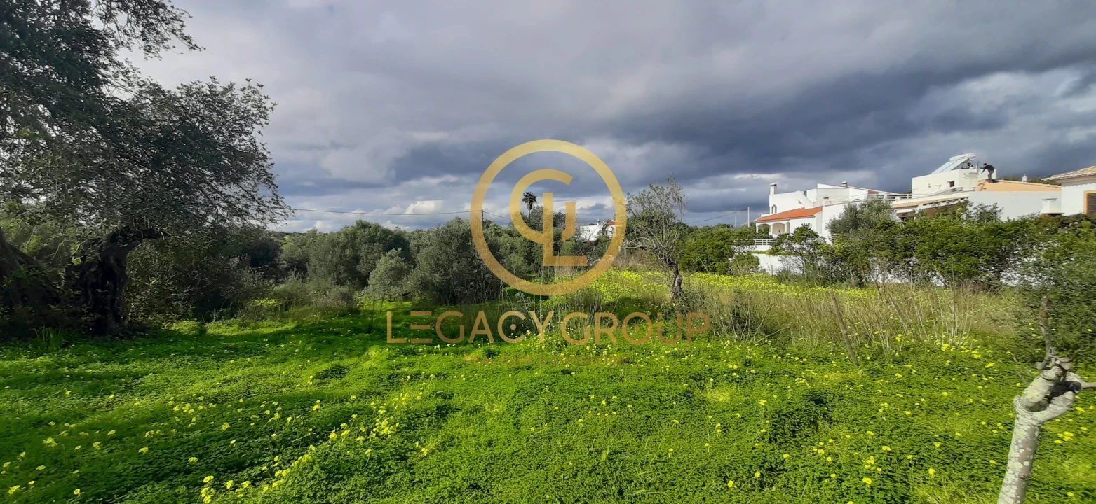 Terreno para Venda em Altura Foto 13