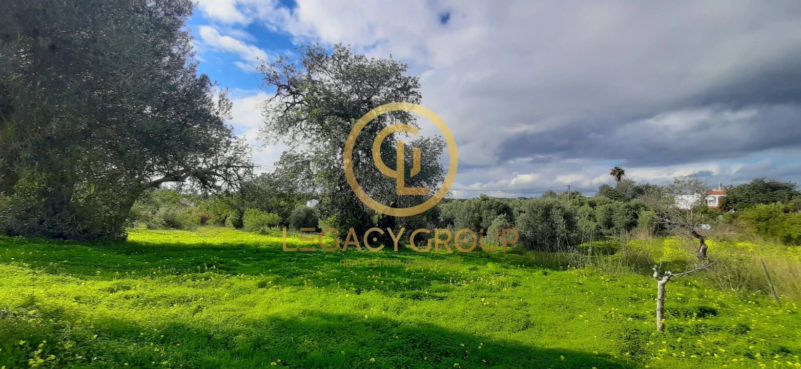 Terreno para Venda em Altura Foto 11