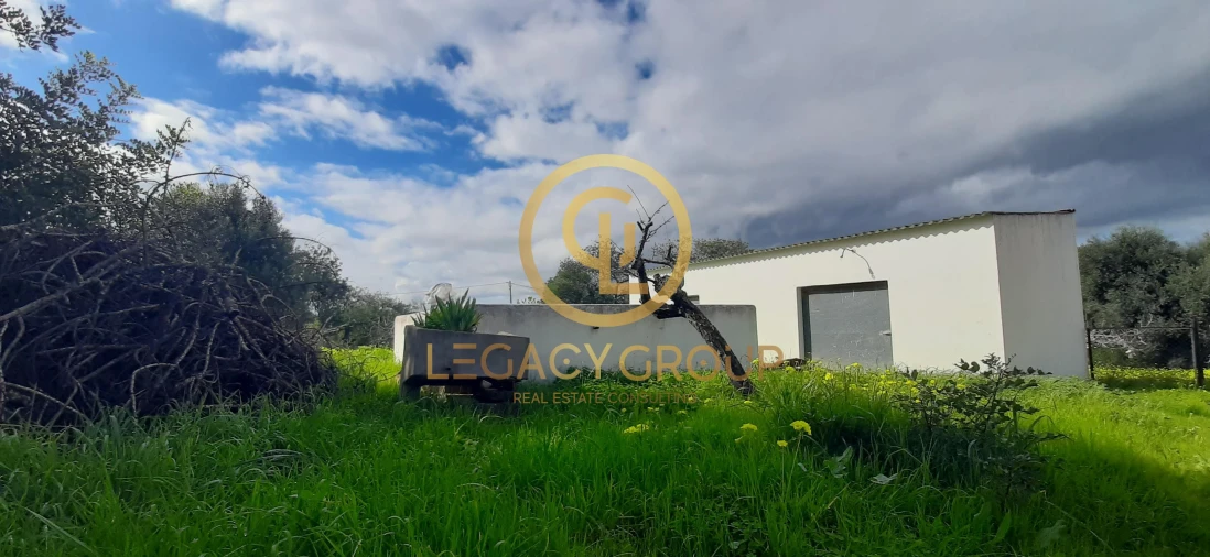 Terreno para Venda em Altura Foto 6