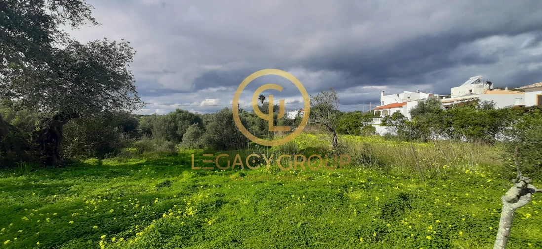 Terreno para Venda em Altura Foto 13