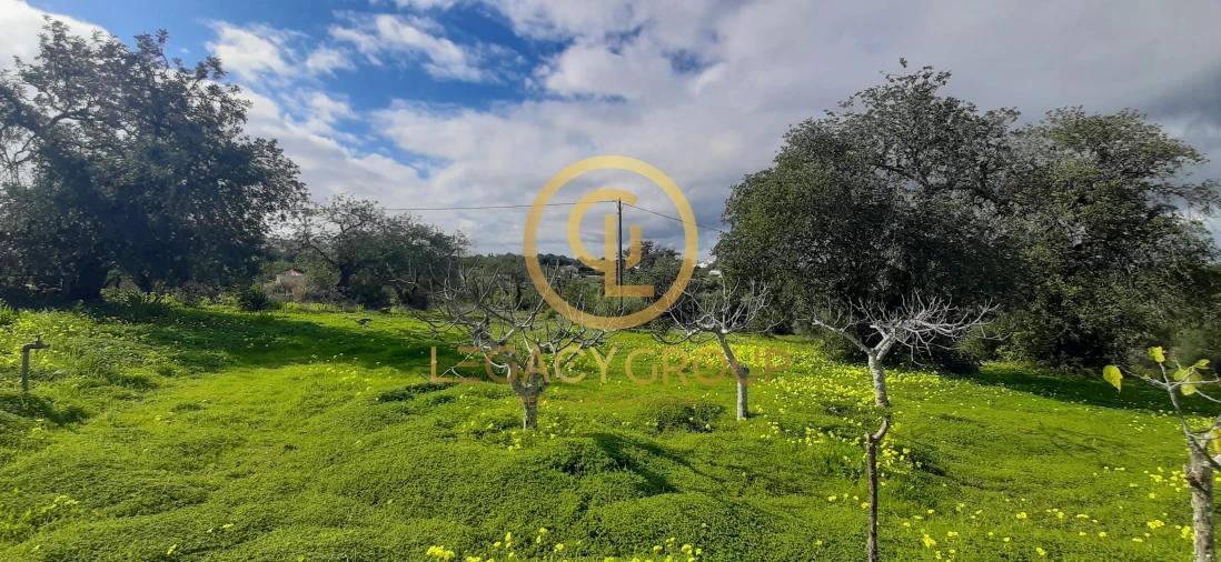 Terreno para Venda em Altura Foto 9