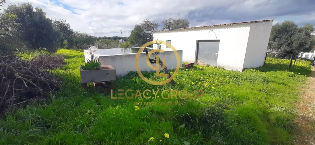 Terreno para Venda em Altura Foto 4