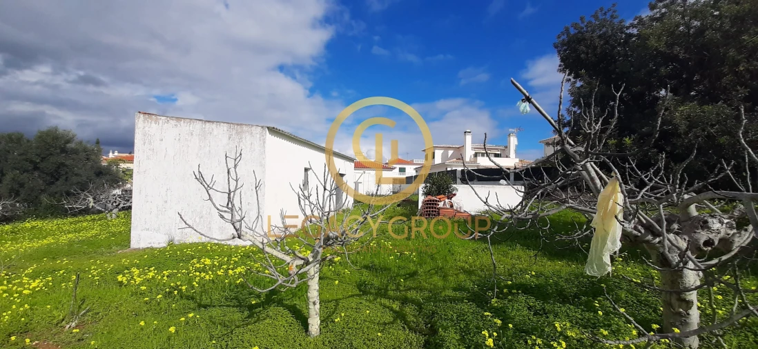 Terreno para Venda em Altura Foto 10