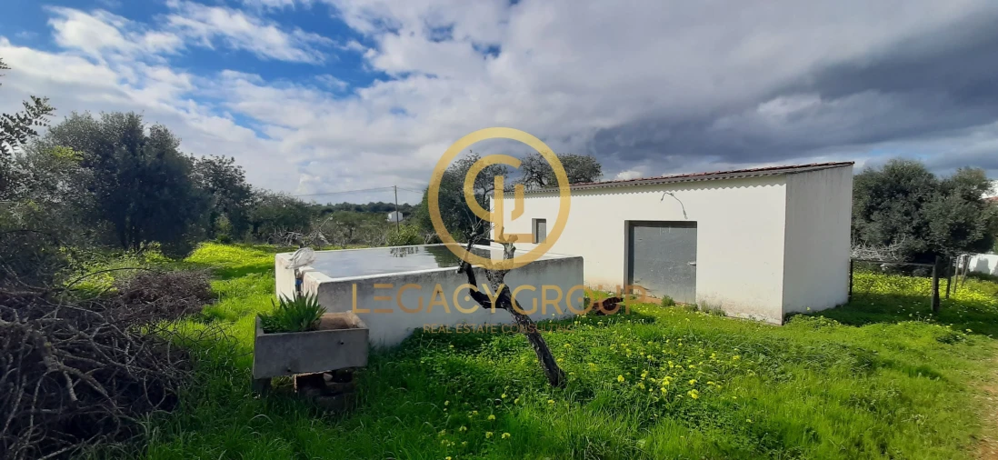 Terreno para Venda em Altura Foto 2