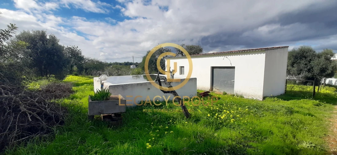 Terreno para Venda em Altura Foto 5