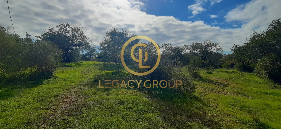 Terreno para Venda em Altura Foto 17