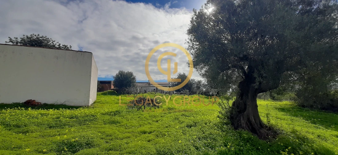 Terreno para Venda em Altura Foto 12