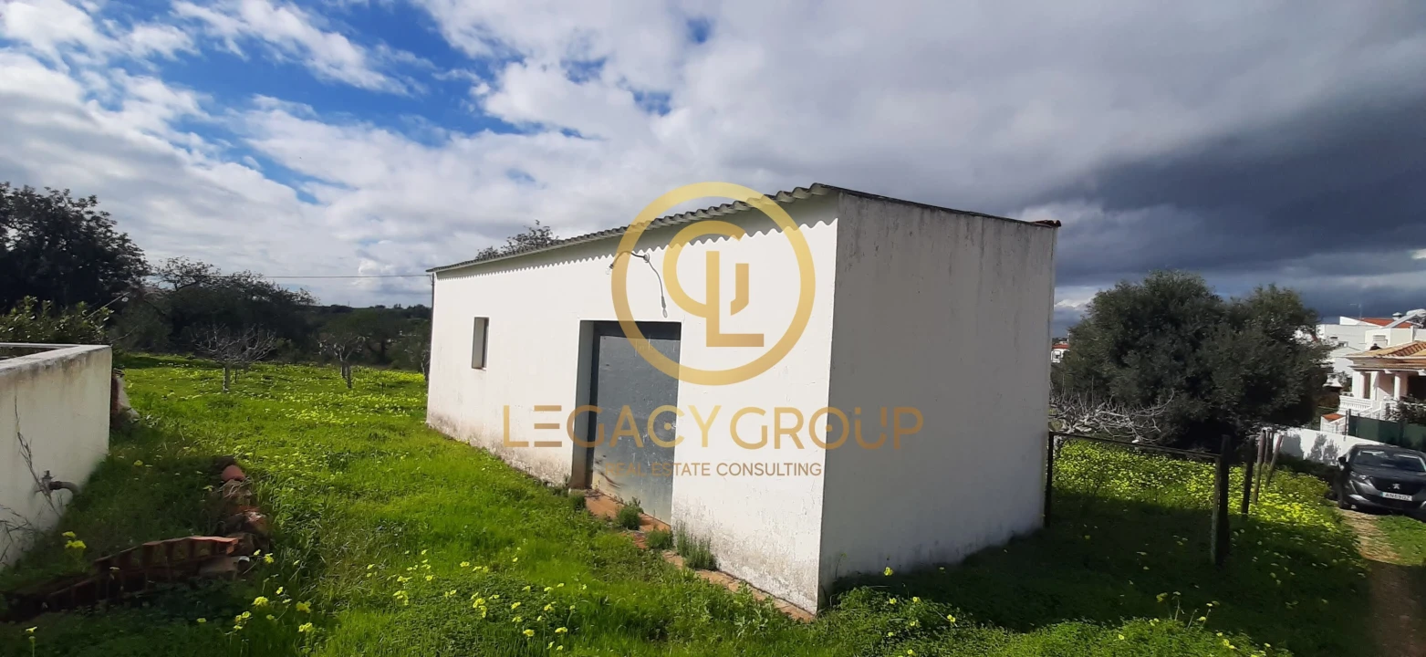 Terreno para Venda em Altura Foto 7