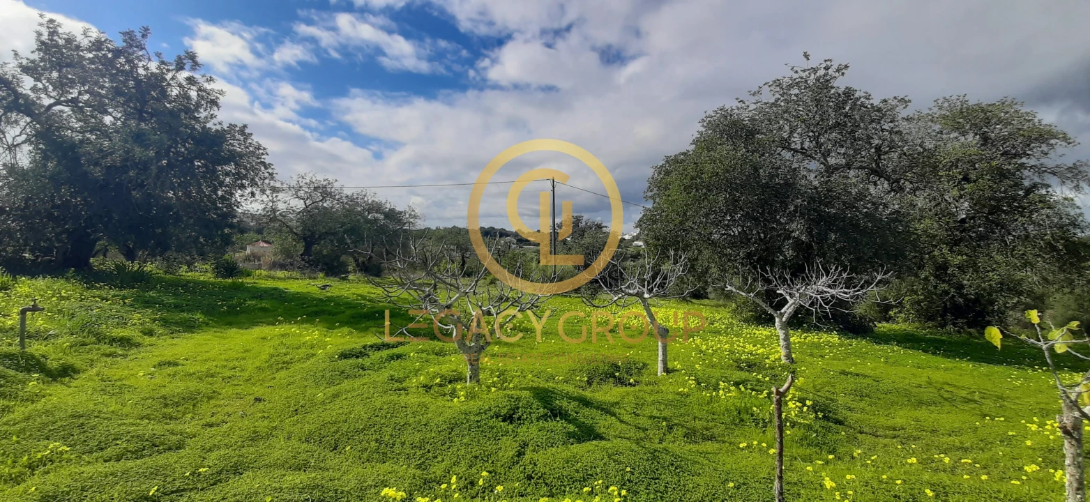 Terreno para Venda em Altura Foto 9