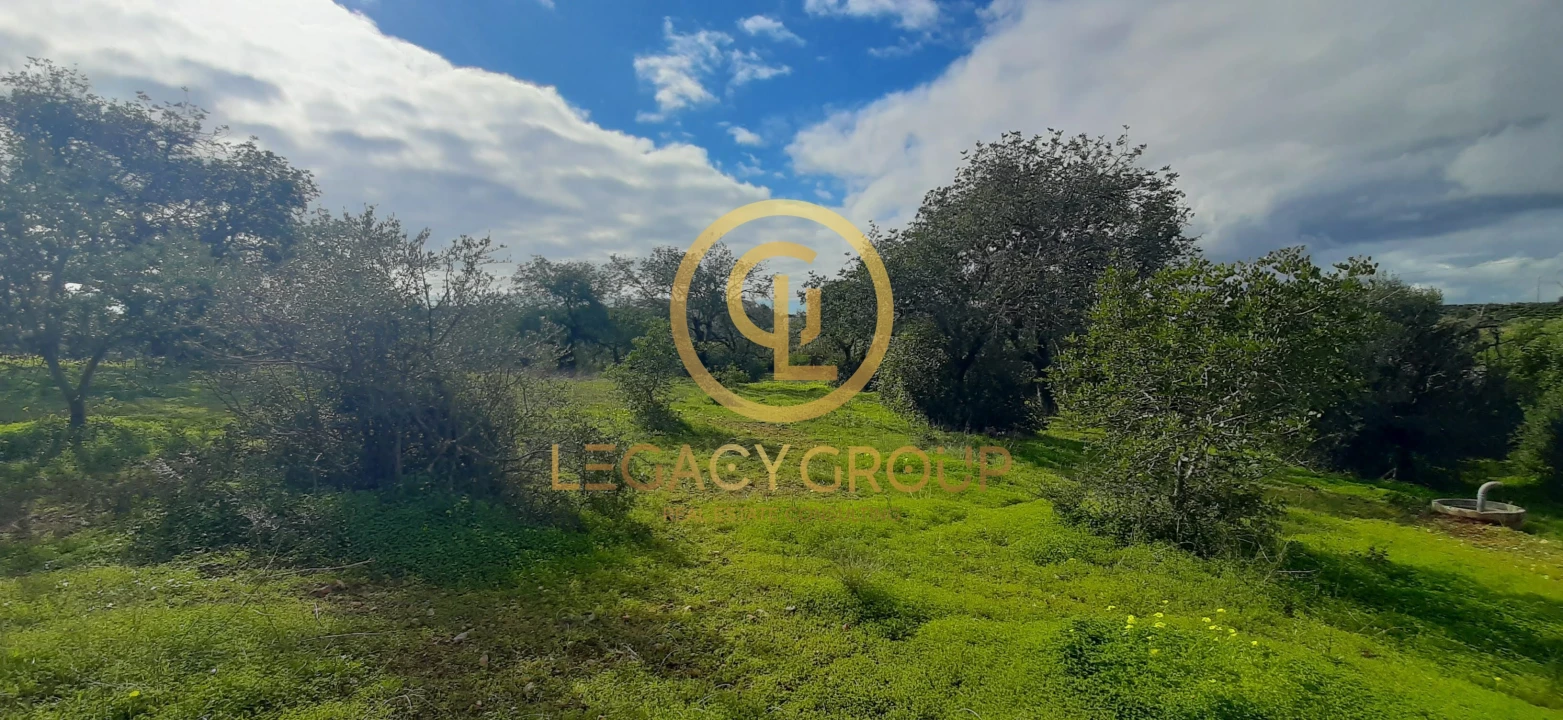 Terreno para Venda em Altura Foto 16