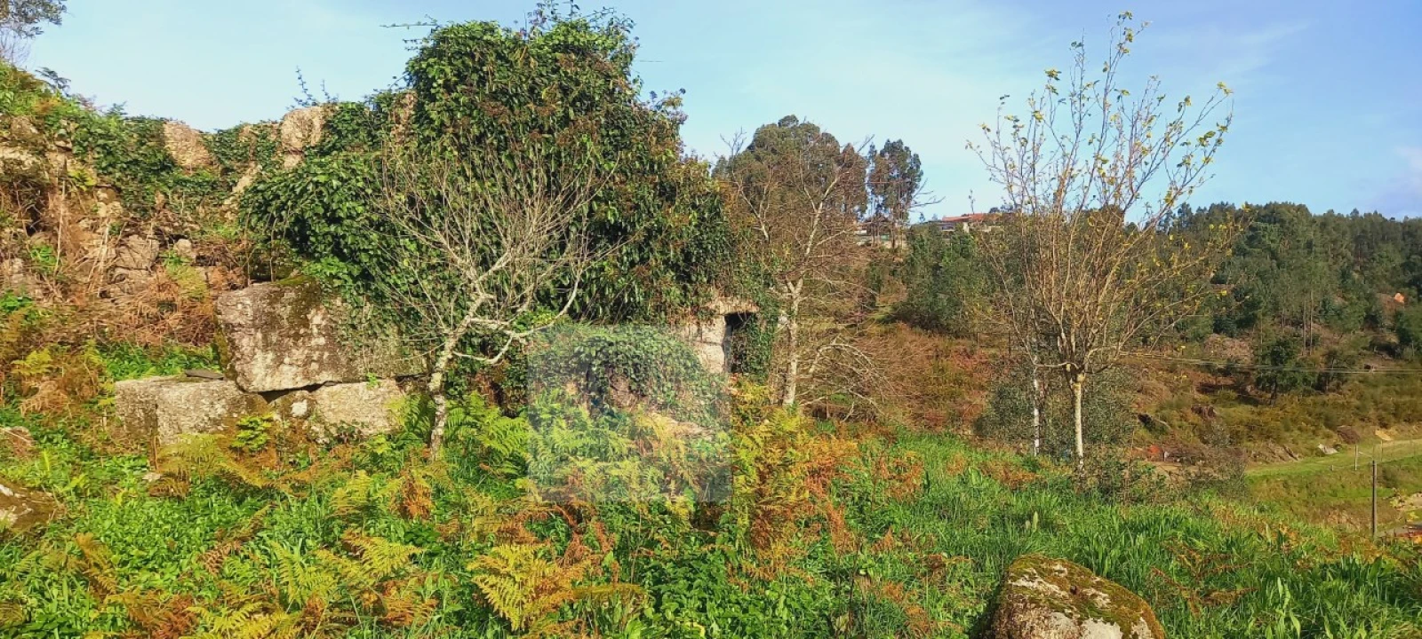 Terreno para Venda em Canelas Foto 2