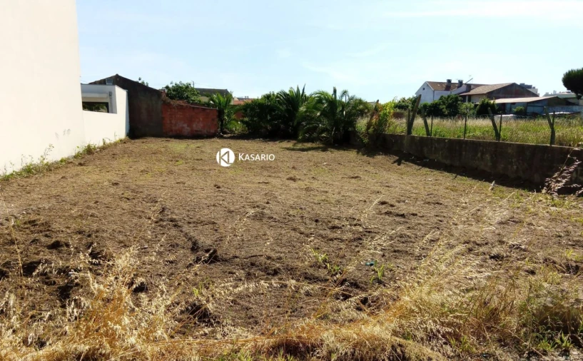 Terreno para Venda em Santa Joana Foto 6