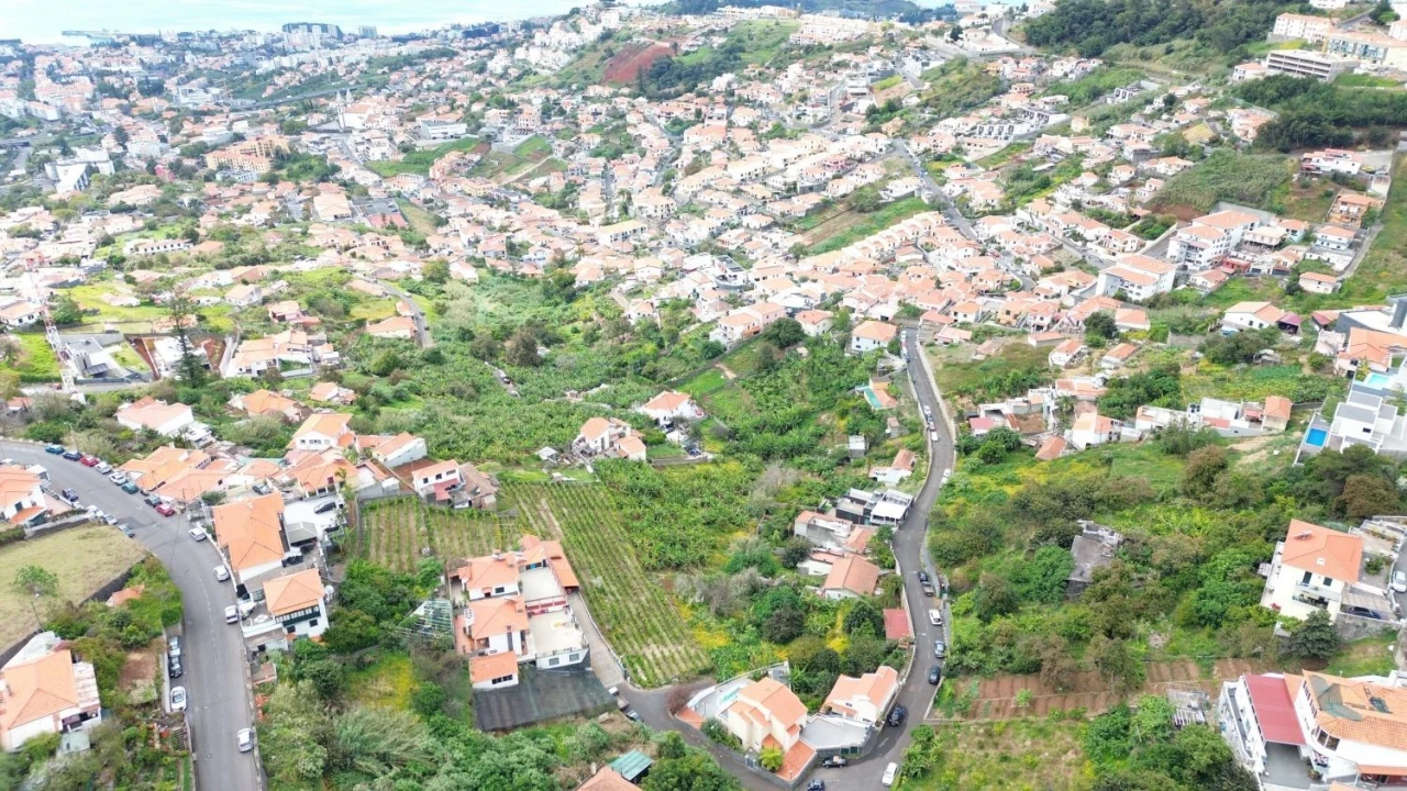 Terreno Agricola ou Rústico para Venda em Santo Antonio Foto 8
