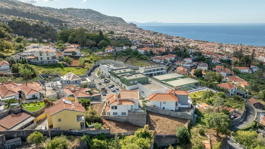 Terreno Agricola ou Rústico para Venda em Funchal (São Pedro) Foto 10