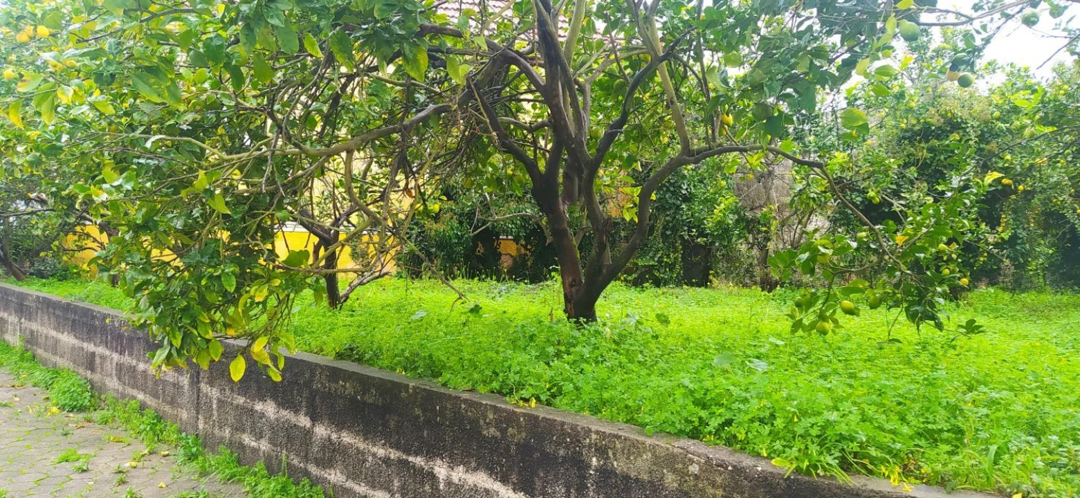 Terreno Agricola ou Rústico para Venda em Aradas Foto 1