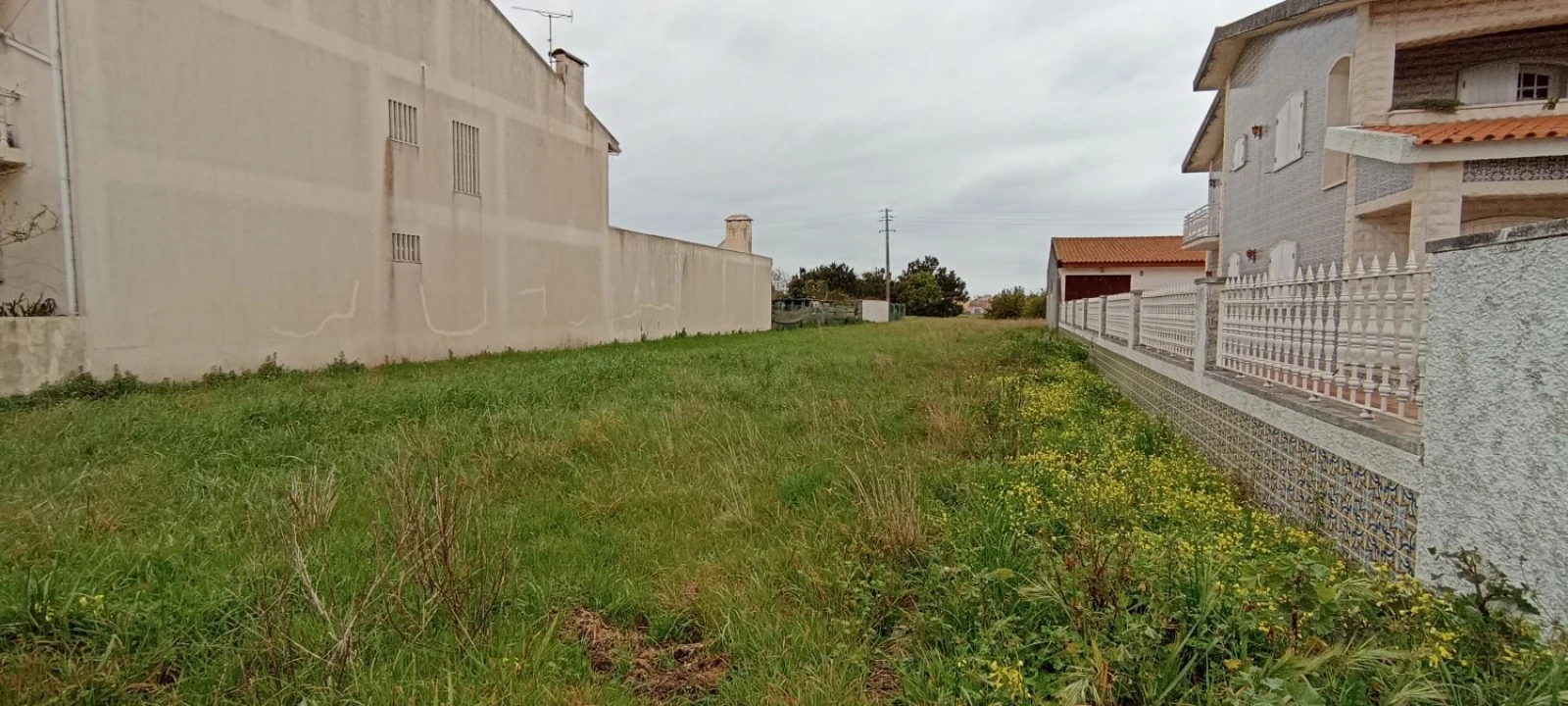 Terreno Agricola ou Rústico para Venda em Gafanha da Encarnação Foto 1