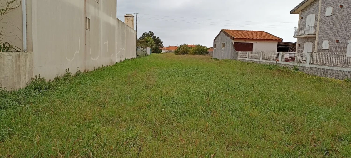 Terreno Agricola ou Rústico para Venda em Gafanha da Encarnação Foto 3