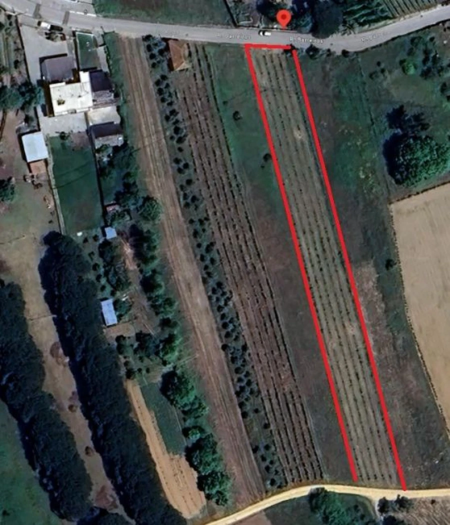 Terreno Agricola ou Rústico para Venda em Oliveira do Bairro