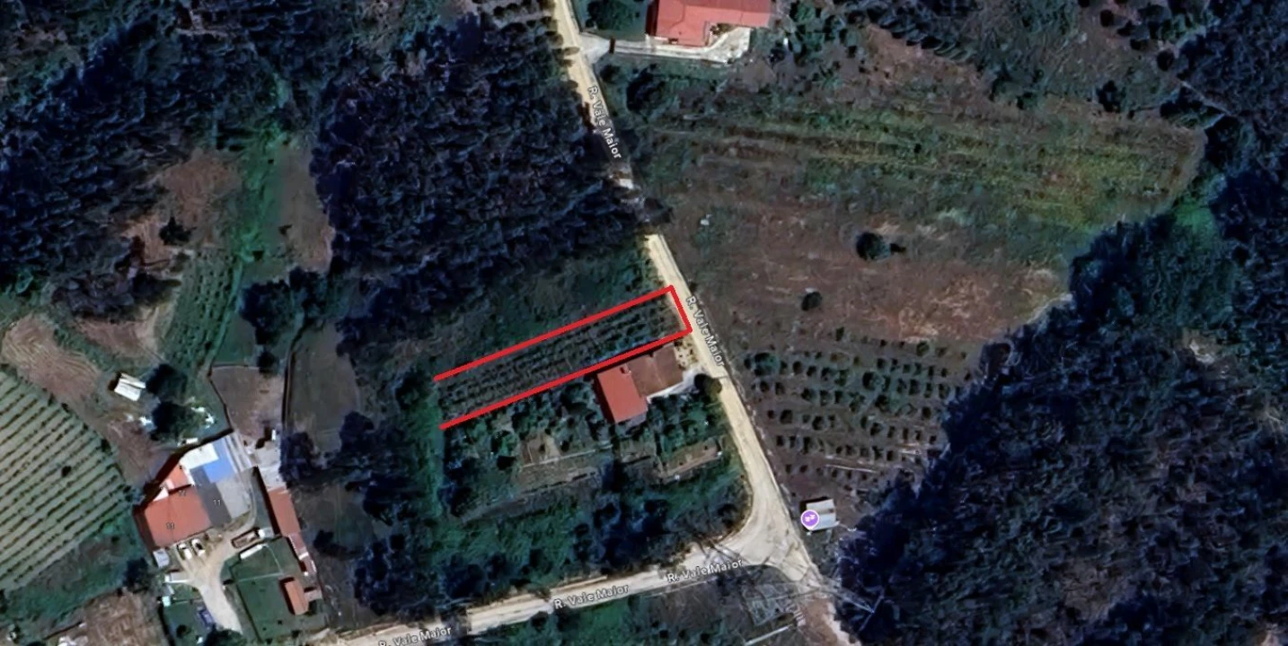 Terreno Agricola ou Rústico para Venda em Oliveira do Bairro Foto 1