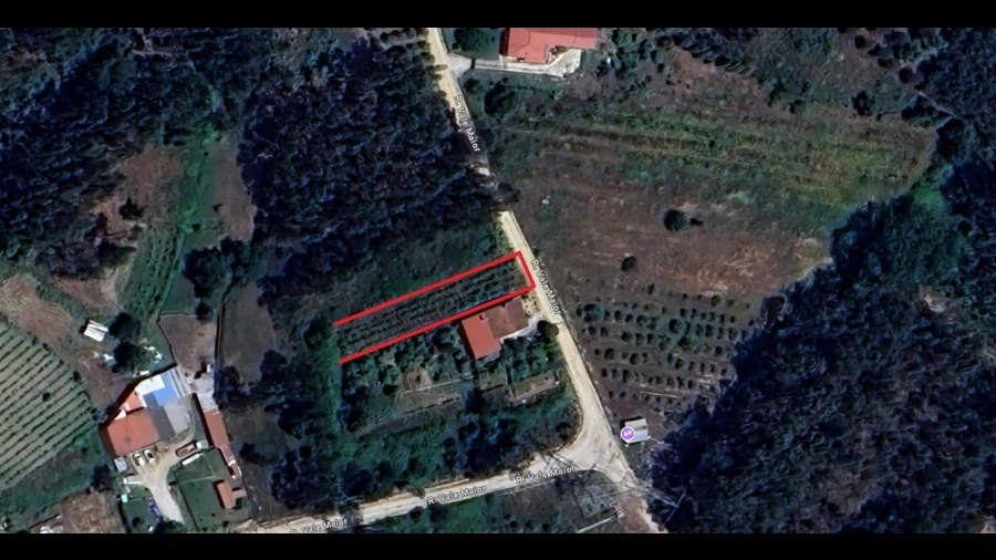 Terreno Agricola ou Rústico para Venda em Oliveira do Bairro