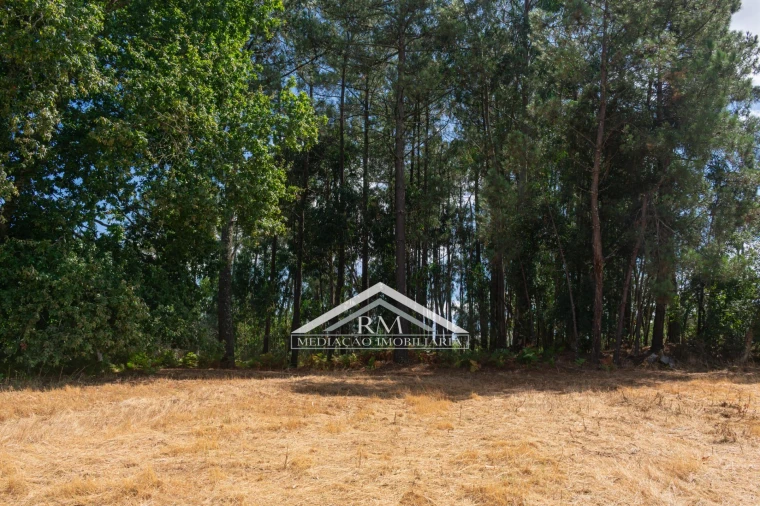 Terreno para Venda em Friestas Foto 6