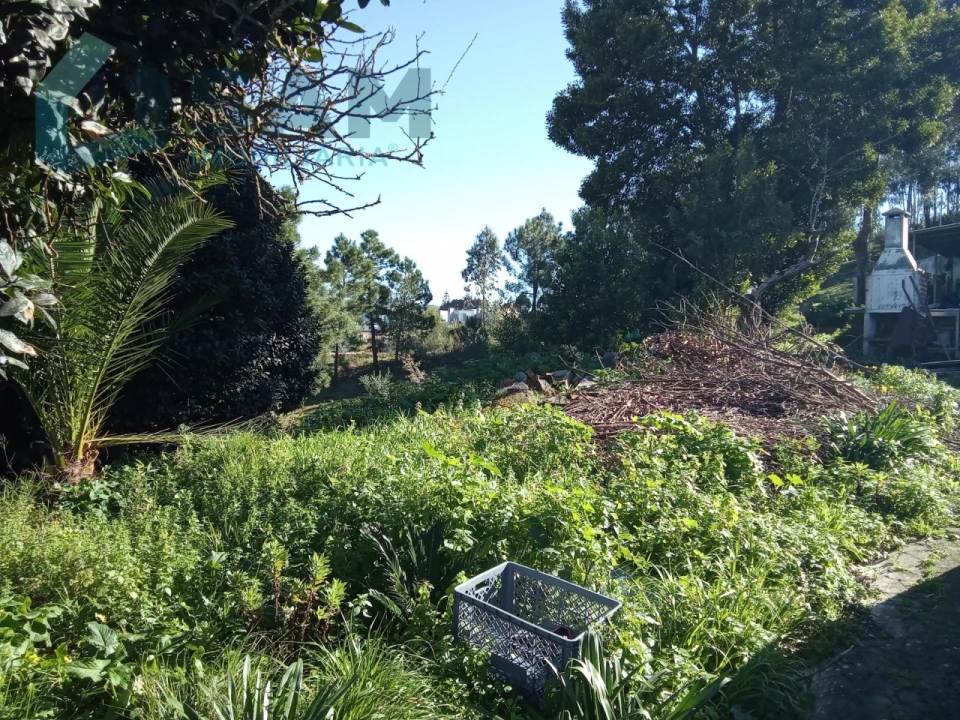 Quinta T8 para Venda em Santa Maria, São Pedro e Matacães Foto 22