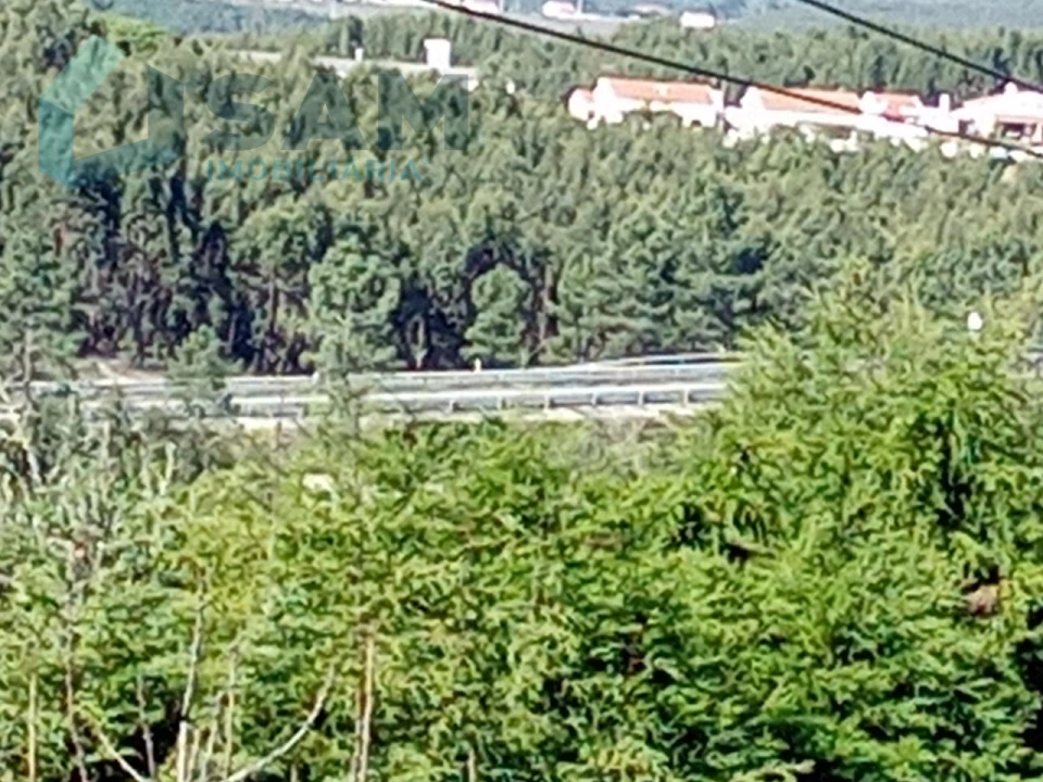 Quinta T8 para Venda em Santa Maria, São Pedro e Matacães Foto 24