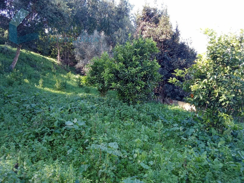 Quinta T8 para Venda em Santa Maria, São Pedro e Matacães Foto 26