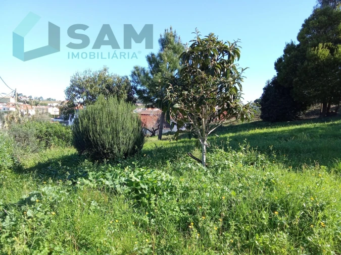 Quinta T8 para Venda em Santa Maria, São Pedro e Matacães Foto 19