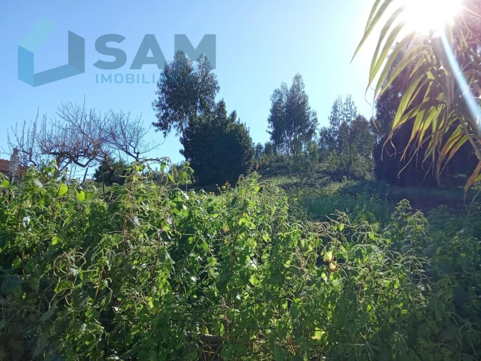 Quinta T8 para Venda em Santa Maria, São Pedro e Matacães Foto 21