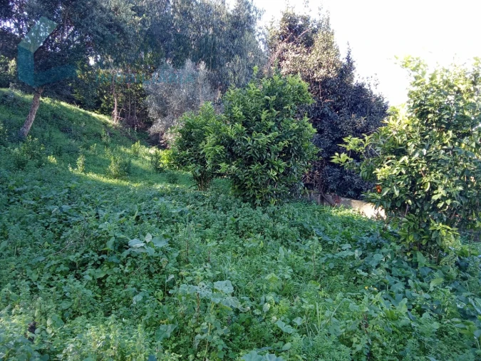 Quinta T8 para Venda em Santa Maria, São Pedro e Matacães Foto 26