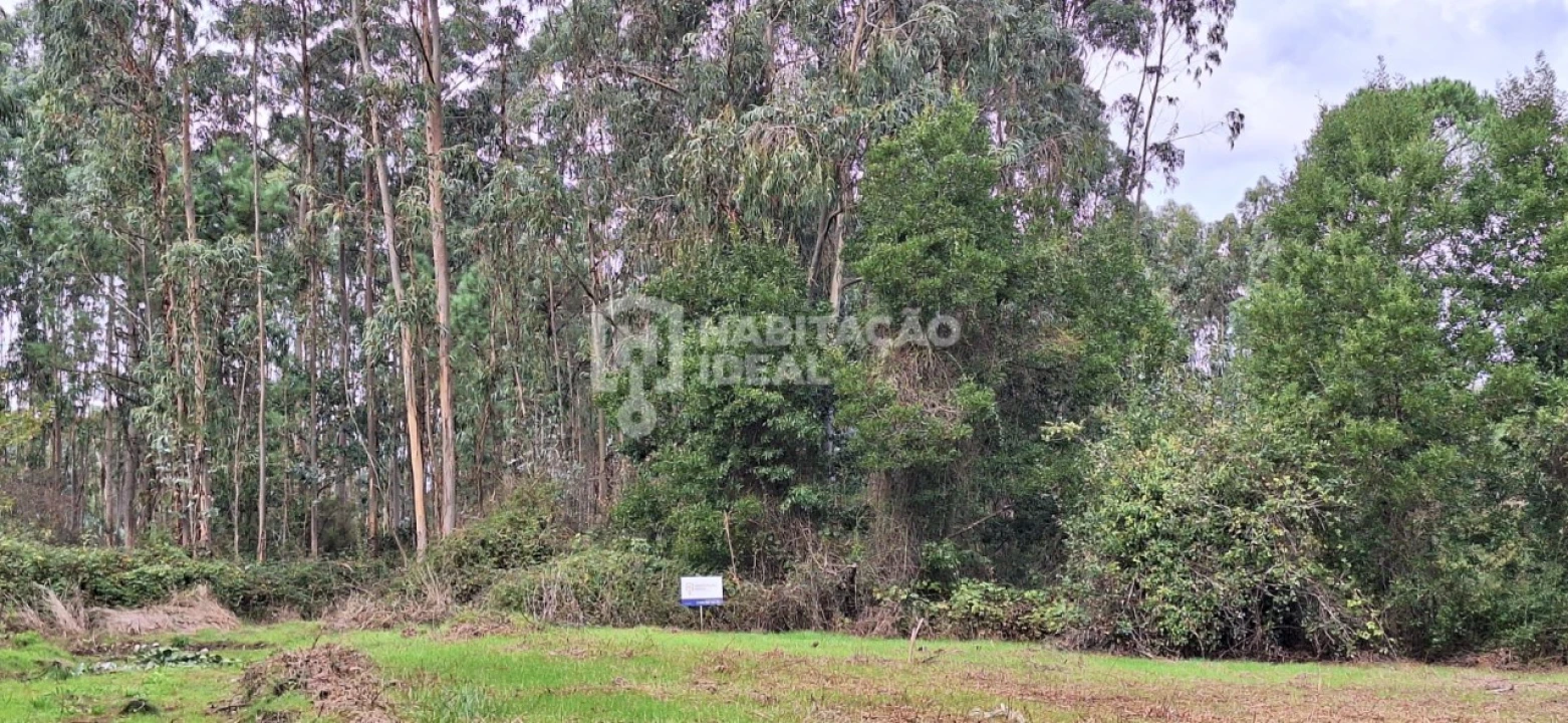 Terreno Agricola ou Rústico para Venda em Bustos, Troviscal e Mamarrosa Foto 2