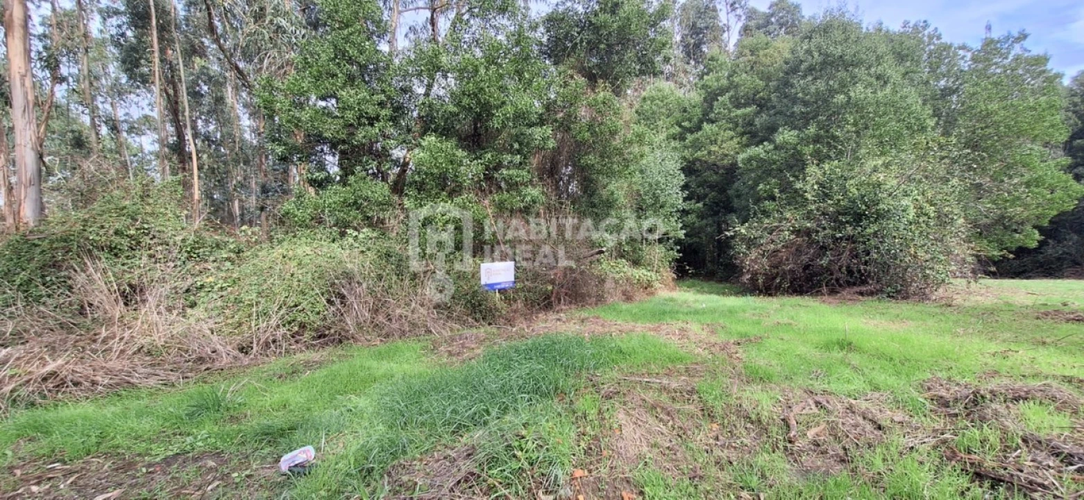 Terreno Agricola ou Rústico para Venda em Bustos, Troviscal e Mamarrosa Foto 3