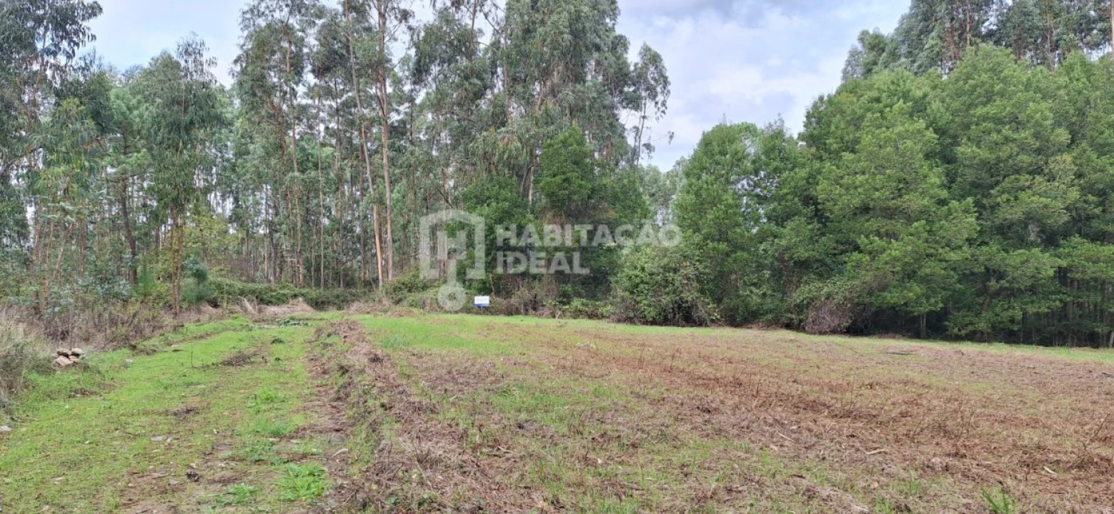 Terreno Agricola ou Rústico para Venda em Bustos, Troviscal e Mamarrosa Foto 7