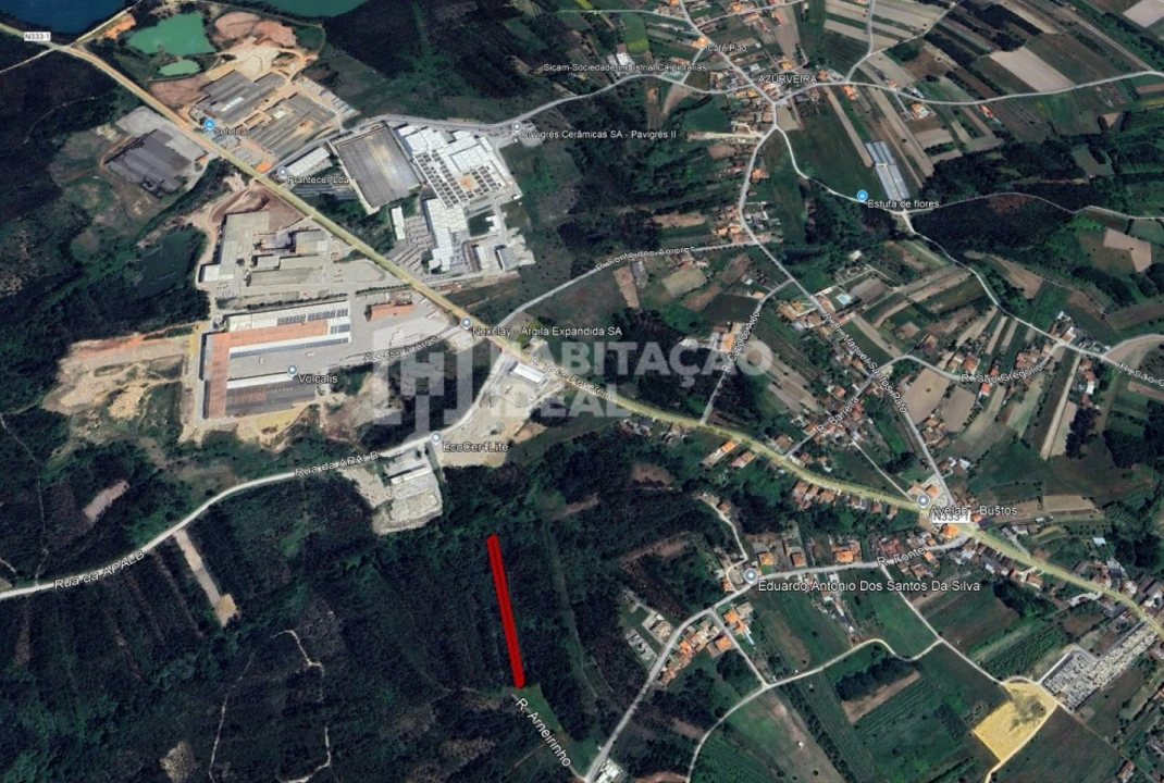 Terreno Agricola ou Rústico para Venda em Bustos, Troviscal e Mamarrosa Foto 11