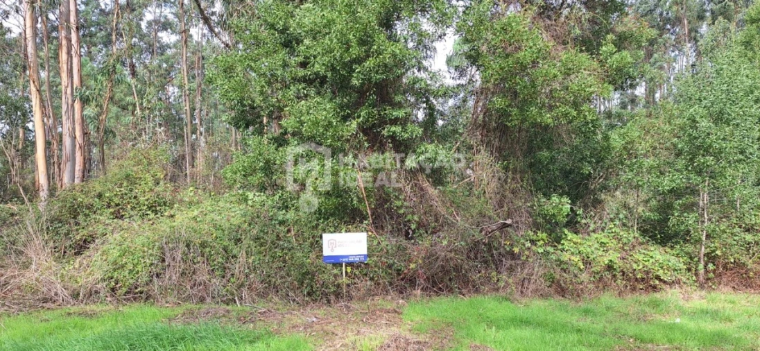 Terreno Agricola ou Rústico para Venda em Bustos, Troviscal e Mamarrosa