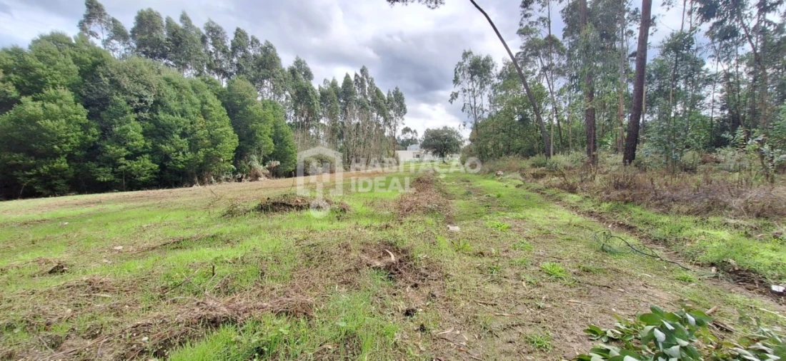 Terreno Agricola ou Rústico para Venda em Bustos, Troviscal e Mamarrosa Foto 6