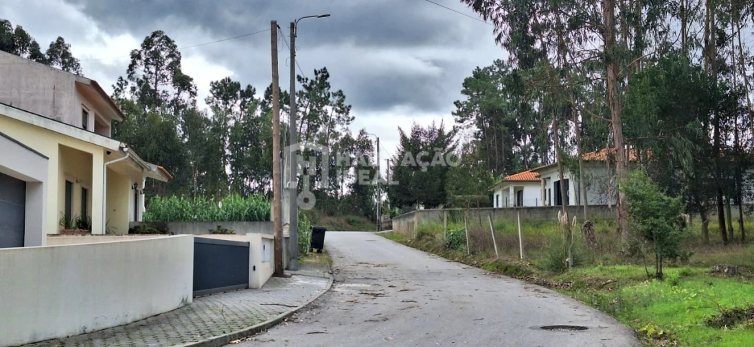 Terreno Agricola ou Rústico para Venda em Bustos, Troviscal e Mamarrosa Foto 9