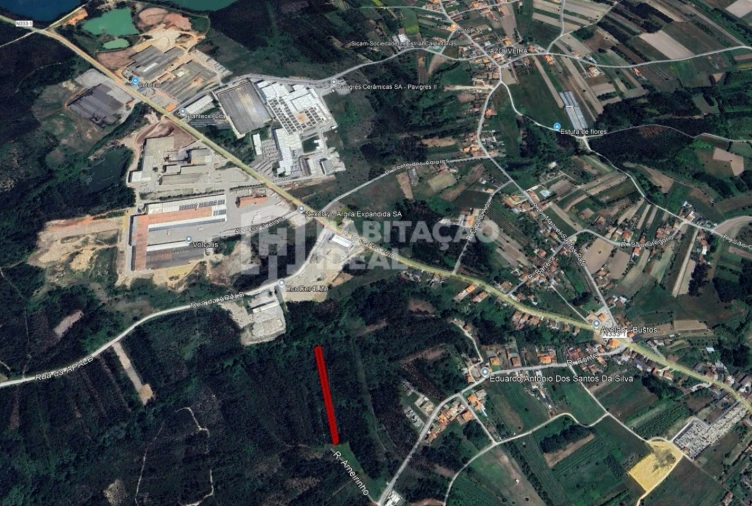 Terreno Agricola ou Rústico para Venda em Bustos, Troviscal e Mamarrosa Foto 11