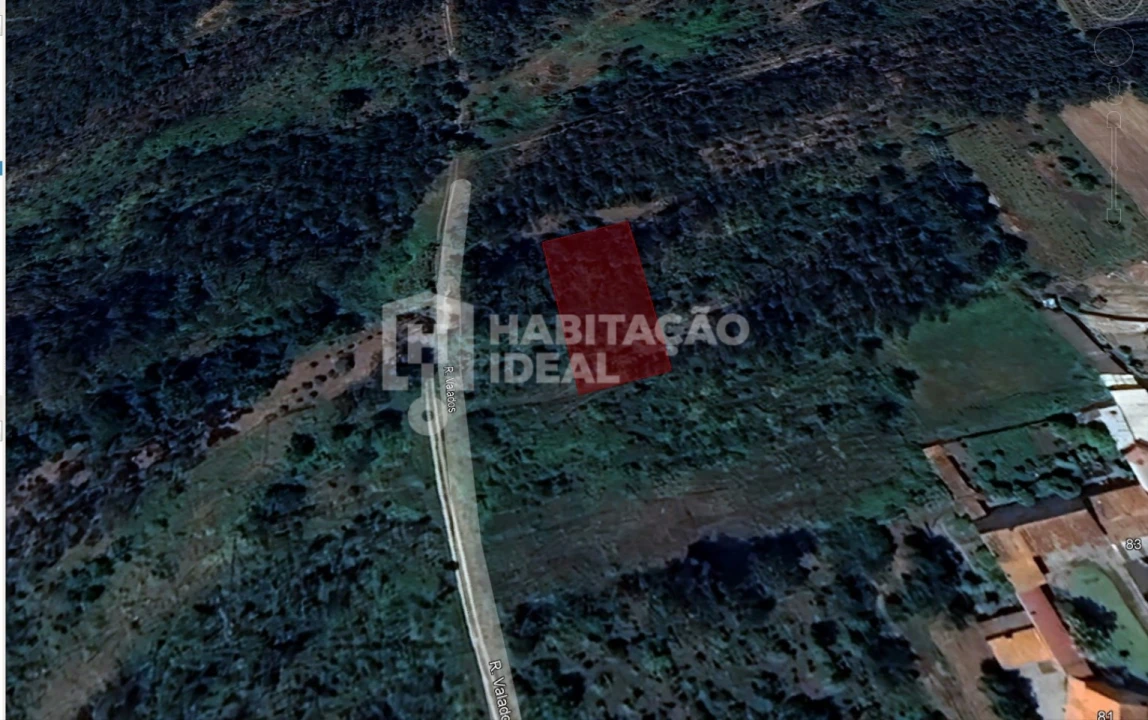 Terreno Agricola ou Rústico para Venda em Bustos, Troviscal e Mamarrosa Foto 1