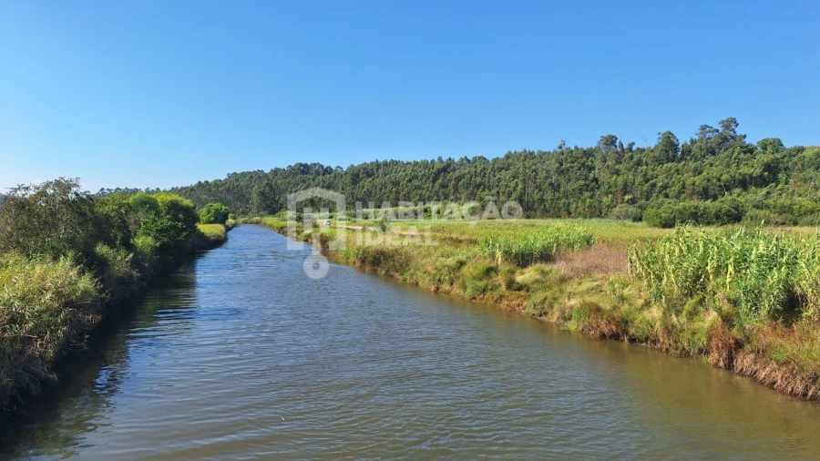Terreno para Venda em Soza Foto 12