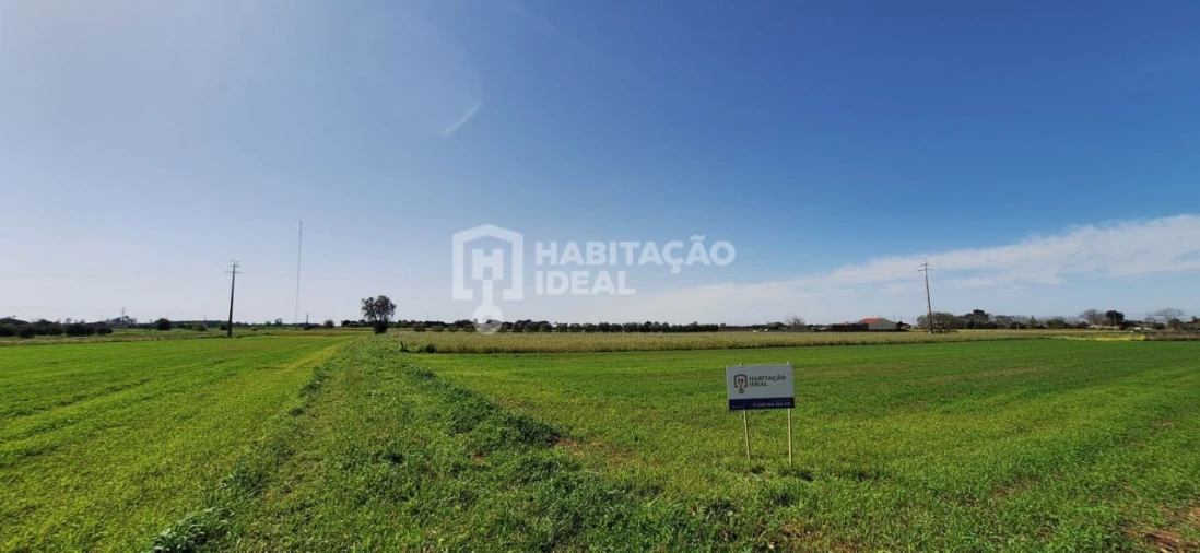 Terreno para Venda em Soza Foto 3