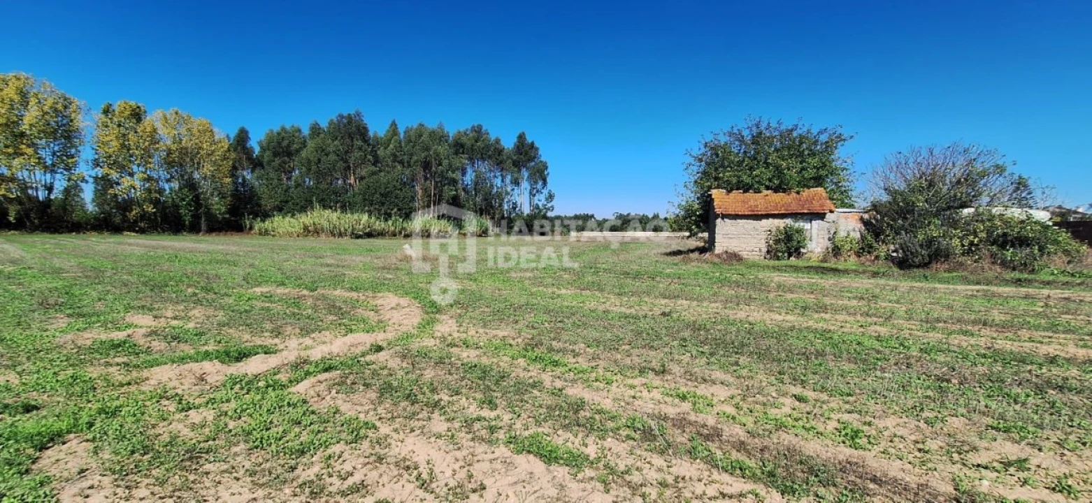 Terreno para Venda em Soza Foto 2