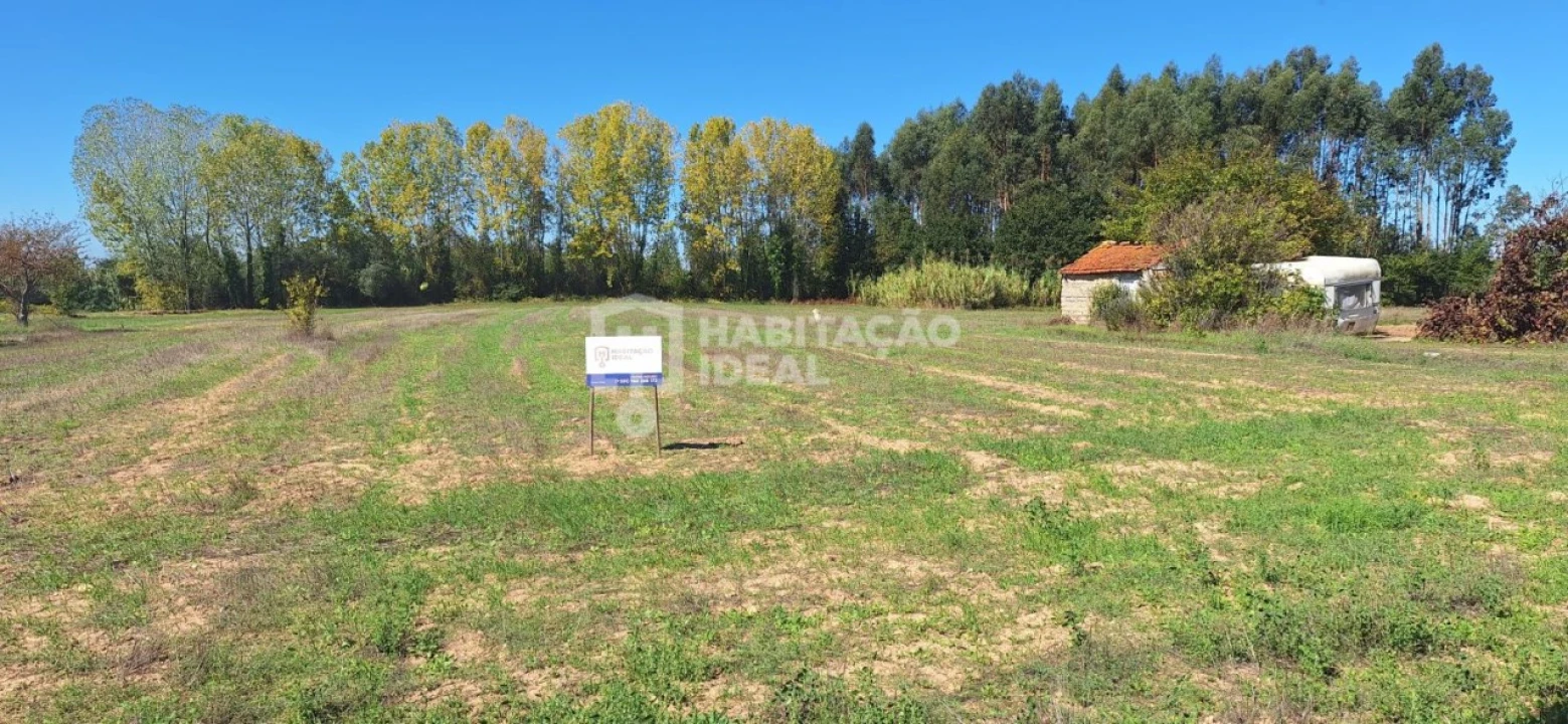 Terreno para Venda em Soza Foto 6
