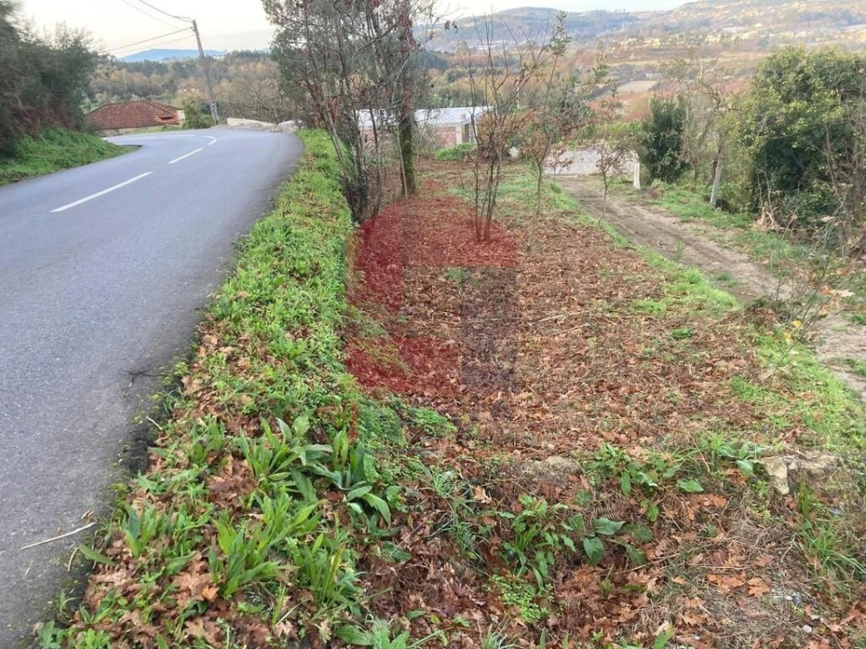 Terreno para Venda em Coucieiro Foto 18
