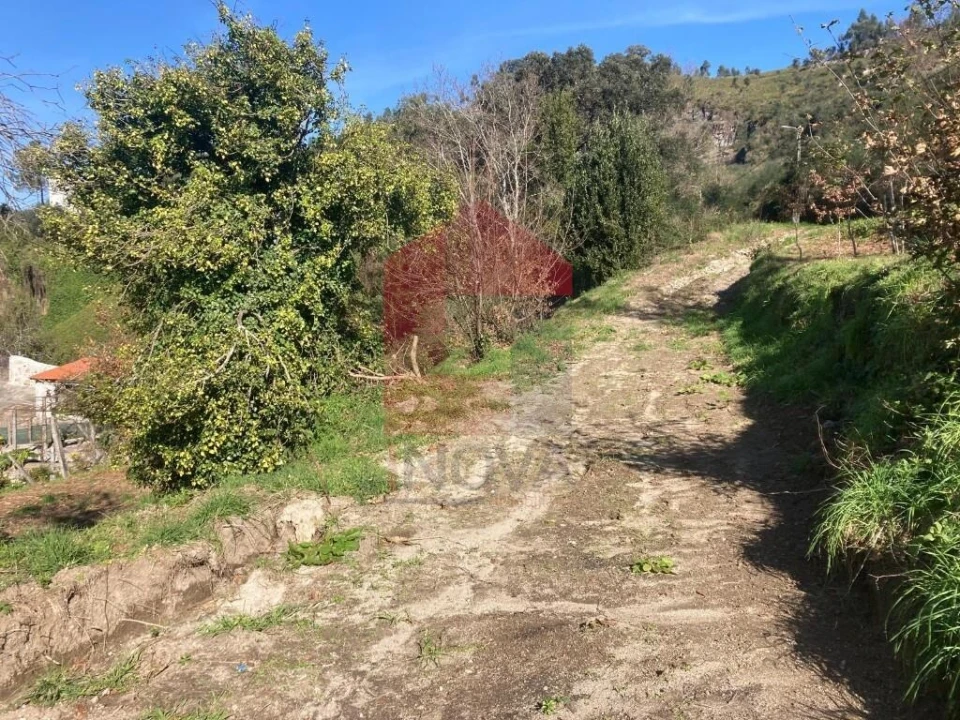 Terreno para Venda em Coucieiro Foto 33