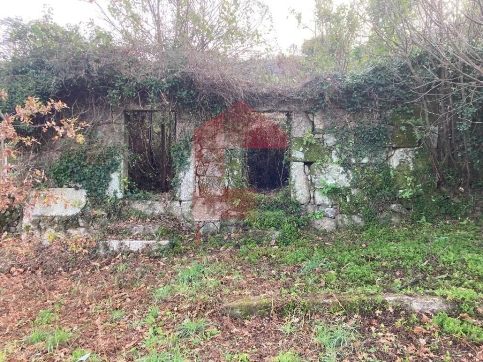 Terreno para Venda em Coucieiro Foto 15