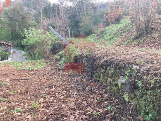 Terreno para Venda em Coucieiro Foto 20