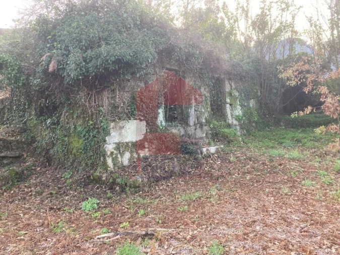 Terreno para Venda em Coucieiro Foto 14