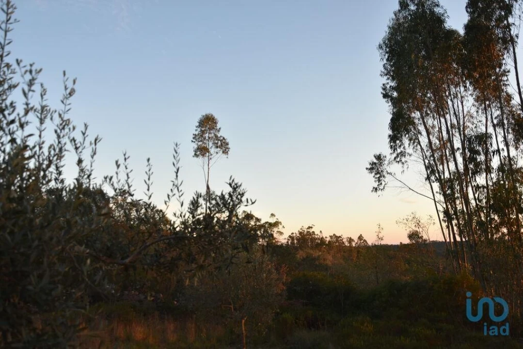 Terreno para Venda em Chãos Foto 12